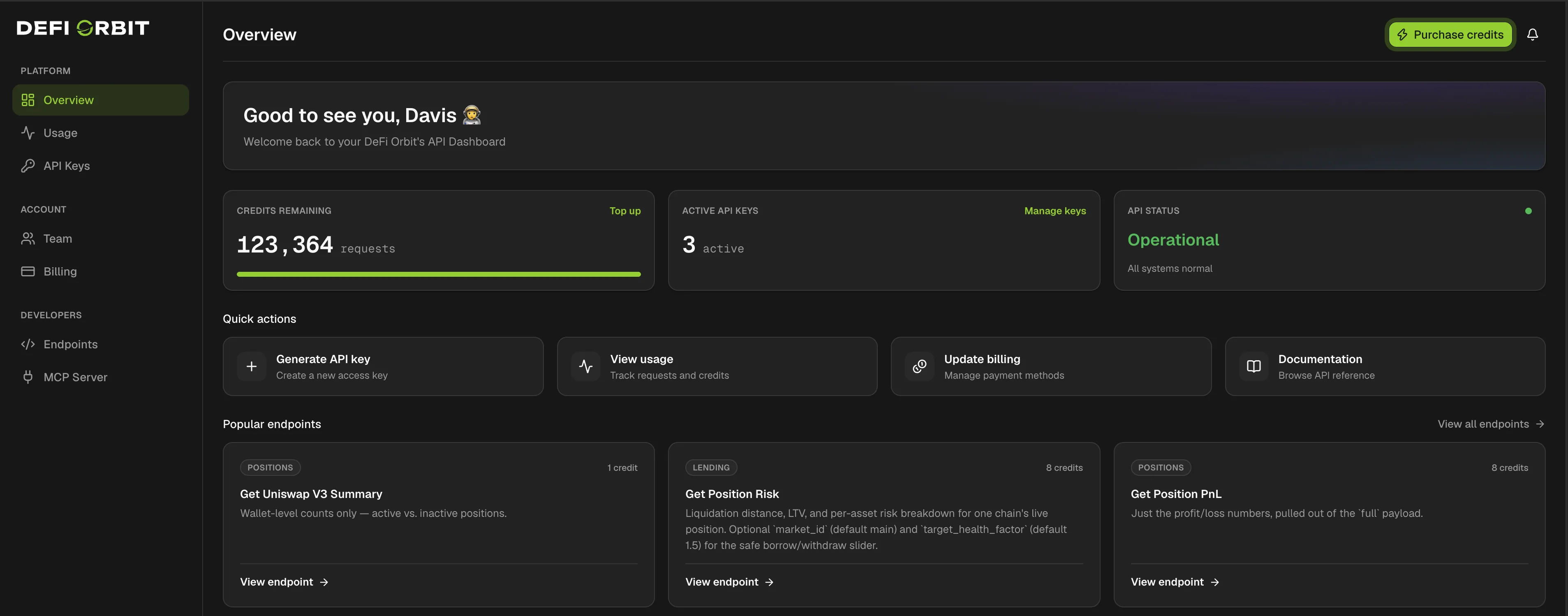 API Platform overview with credits remaining, active API keys, API status, quick actions and popular endpoints with their credit cost
