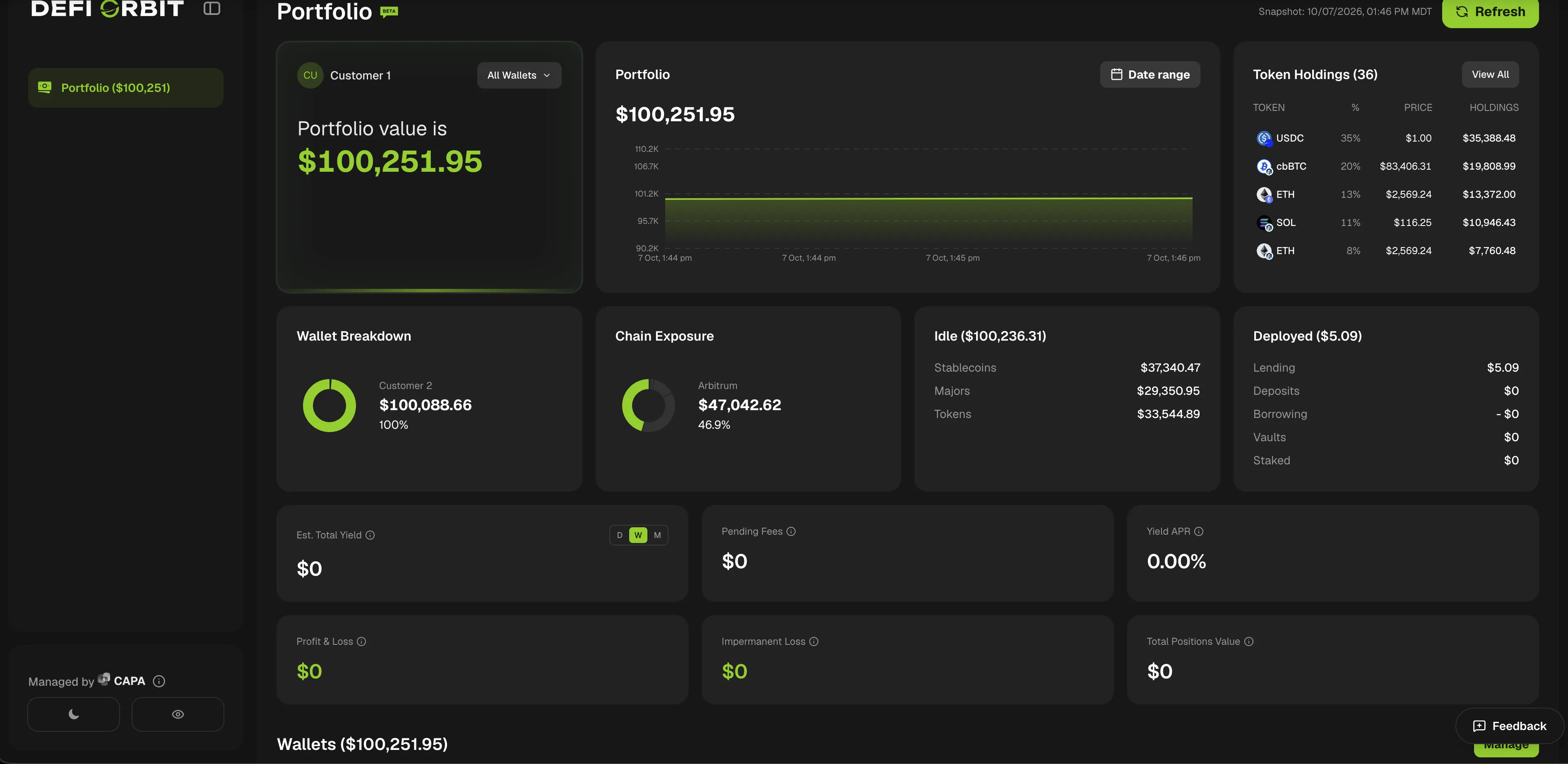 A shared customer portfolio showing total value, token holdings, wallet breakdown and chain exposure, marked as managed by the account owner